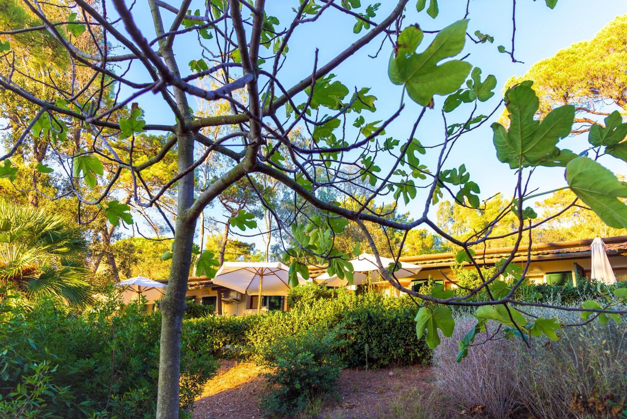 Hotel Villa Ottone Portoferraio Ngoại thất bức ảnh